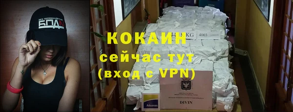 гашик Покровск