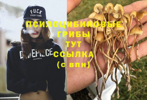 гашик Покровск