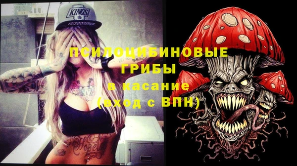 гашик Покровск
