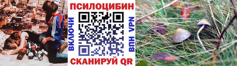 Псилоцибиновые грибы Cubensis  Купить закладки  Карабаш 